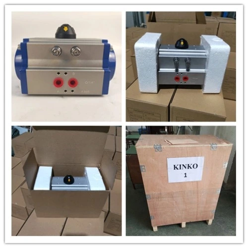 Bộ truyền động khí nén RT063D tác động kép bằng thép không gỉ SS