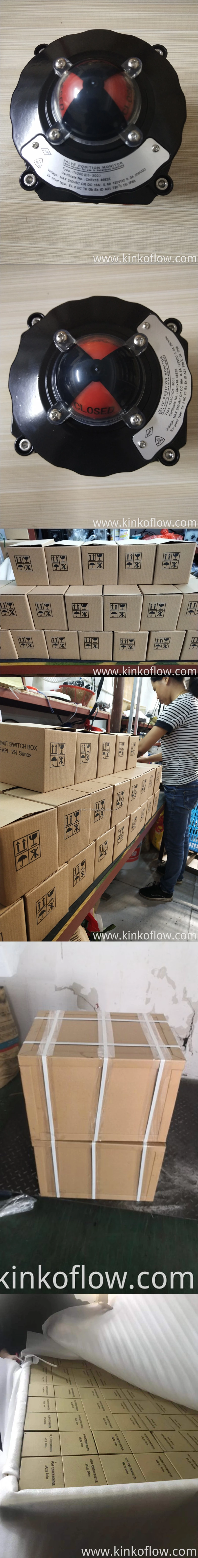 Công tắc giới hạn chống cháy nổ chỉ báo van